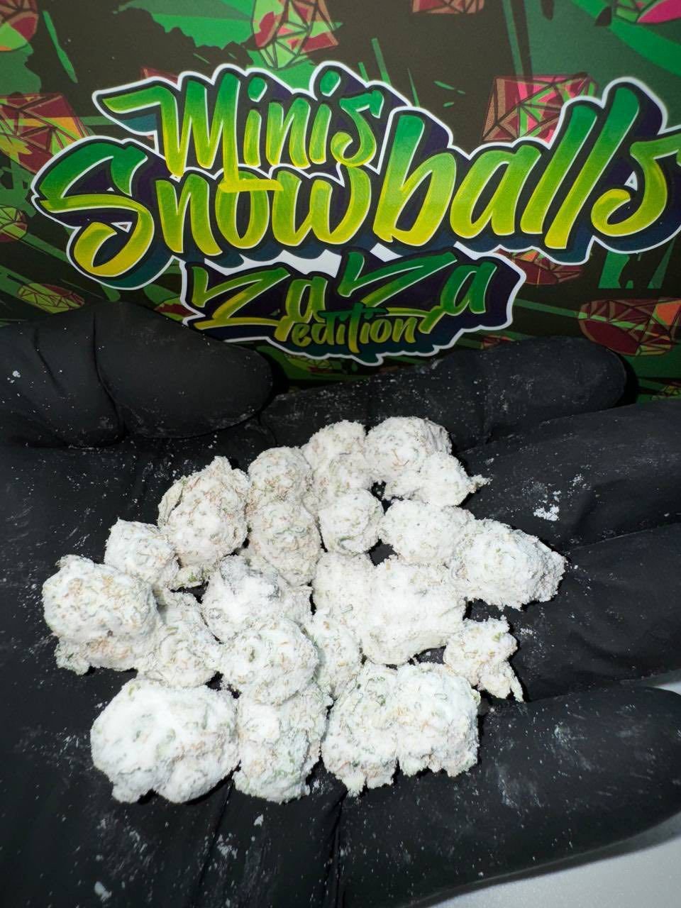 WhatsApp-Image-2026-02-13-at-5.08.34-PM persy mini snowballs zaza edition